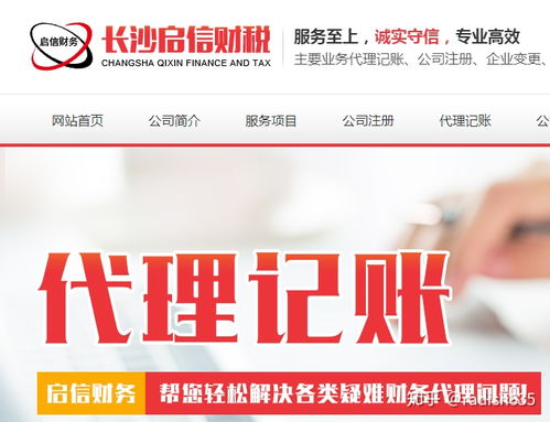 代理記賬服務 專業代辦，企業財務無憂