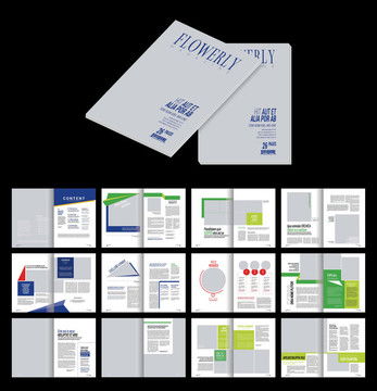 金融產(chǎn)品畫(huà)冊(cè)設(shè)計(jì)模板 專(zhuān)業(yè)高效的企業(yè)宣傳利器